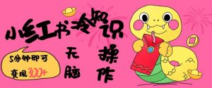 小红书冷知识账号,无脑复制粘贴,5分钟即可变现3张-风淘社