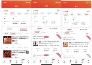 2025最新京东蓝海项目,0 门槛日入 1k+,小白宝妈轻松上手【揭秘】-风淘社