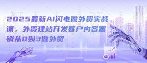 2025最新AI闪电做外贸实战课,外贸建站开发客户内容营销从0到3做外贸-风淘社
