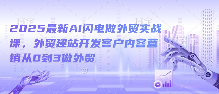 2025最新AI闪电做外贸实战课,外贸建站开发客户内容营销从0到3做外贸-风淘社
