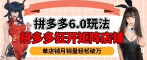 拼多多虚拟商品暴利6.0玩法,轻松实现月入过W-风淘社