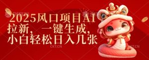 2025风口项目AI拉新,一键生成,小白轻松日入几张-风淘社