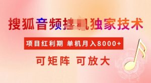 全网首发搜狐音频挂JI独家技术,项目红利期,可矩阵可放大,稳定月入8k【揭秘】-风淘社