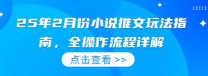 25年2月份小说推文玩法指南，全操作流程详解-风淘社
