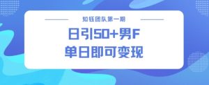 男粉引流新方法不违规，当日即可变现-风淘社