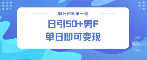 男粉引流新方法不违规,当日即可变现-风淘社
