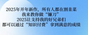 2025年开年新作,所有人都在割韭菜,我来教你做“镰刀” 2025让支持我的好兄弟们都可以通过“知识付费”拿到满意的成绩【揭秘】-风淘社