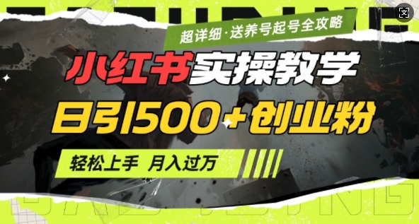 2月小红书最新日引500+创业粉实操教学【超详细】小白轻松上手,月入1W+,附小红书养号起号SOP-风淘社