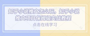 知乎小说推文怎么玩，知乎小说推文项目保姆级实战教程-风淘社