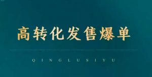 高转化发售爆单,引爆私域成交,打破运营全链-风淘社
