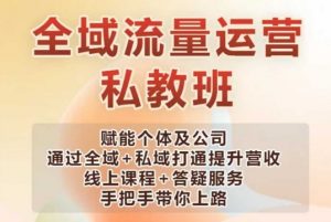 全域流量运营操盘课,赋能个体及公司通过全域+私域打通提升营收-风淘社