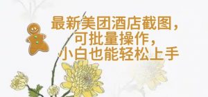 【轻云】最新美团酒店截图,可批量操作,小白也能轻松上手-风淘社