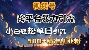 跨平台暴力引流,私域完美闭环,日引500+精准创业粉-风淘社