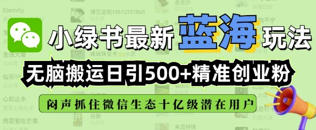 小绿书无脑搬运引流,全自动日引500精准创业粉,微信生态内又一个闷声发财的机会-风淘社
