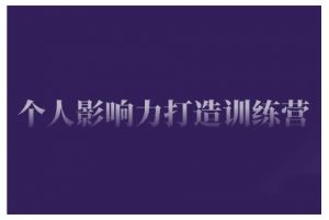 个人影响力打造训练营,掌握公域引流、私域运营、产品定位等核心技能,实现从0到1的个人IP蜕变-风淘社