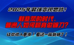 2025年最强变现思路,割韭菜的时代, 普通人如何翻身做镰刀?【揭秘】-风淘社