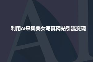 利用AI采集美女写真网站引流变现,引流嘎嘎的-风淘社