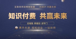 别人苦寻无果,为何他们靠知识付费卖项目 2025 年轻松年入100个?【揭秘】-风淘社