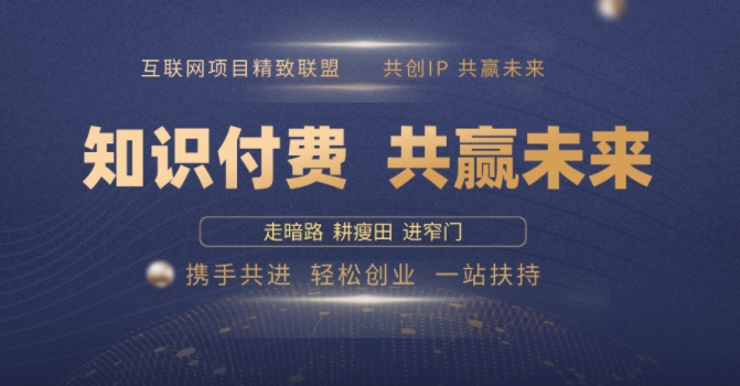 别人苦寻无果,为何他们靠知识付费卖项目 2025 年轻松年入100个?【揭秘】-风淘社
