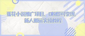 蛋花小说推文项目,0粉即可变现,新人搬运实操教程-风淘社