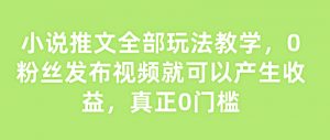 小说推文全部玩法教学,0粉丝发布视频就可以产生收益,真正0门槛-风淘社