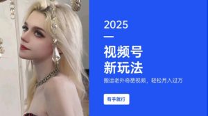 搬运老外奇葩视频，撸视频号分成计划收益，每天只需一小时，新手小白轻松月入过W-风淘社