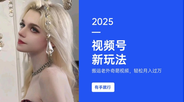 搬运老外奇葩视频，撸视频号分成计划收益，每天只需一小时，新手小白轻松月入过W-风淘社