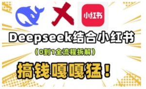 deepseek+小红书打造流量生产线实操课,0到1全流程拆解,搞钱嘎嘎猛-风淘社