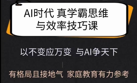 Ai时代真学霸思维与学习方法课，有格局且接地气，家庭教育有力参考-风淘社