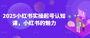 2025小红书实操起号认知课,小红书的魅力-风淘社