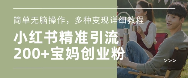小红书混剪日引200+宝妈创业粉,简单无脑操作,多种变现详细教程-风淘社