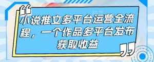 小说推文多平台运营全流程，一个作品多平台发布获取收益-风淘社