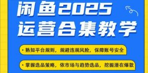 2025闲鱼电商运营全集,2025最新咸鱼玩法-风淘社