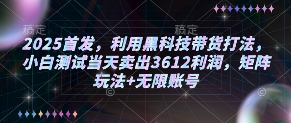 2025首发，利用黑科技带货打法，小白测试当天卖出3612利润，矩阵玩法+无限账号【揭秘】-风淘社
