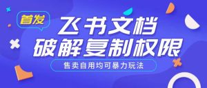 首发飞书文档破解复制权限，售卖自用均可暴力玩法-风淘社