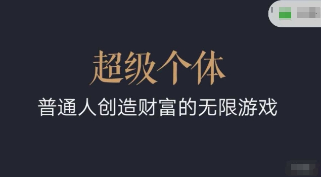 超级个体2024-2025翻盘指南,普通人创造财富的无限游戏-风淘社