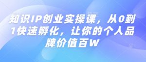 知识IP创业实操课,从0到1快速孵化,让你的个人品牌价值百W-风淘社