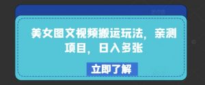 美女图文视频搬运玩法，亲测项目，日入多张-风淘社