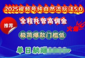 2025视频号纯自然流玩法5.0,全程托管高佣金,极简爆款门槛低,单日收益多张【揭秘】-风淘社