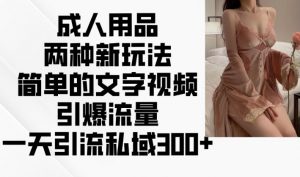 成人用品两种新玩法，简单的文字视频引爆流量，一天引流私域300+-风淘社