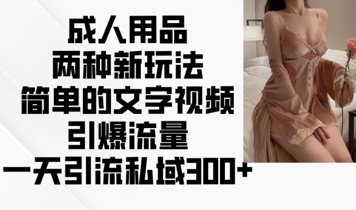 成人用品两种新玩法,简单的文字视频引爆流量,一天引流私域300+-风淘社