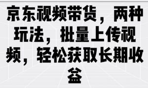 京东视频带货,两种玩法,批量上传视频,轻松获取长期收益-风淘社