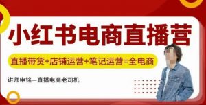 小红书电商直播训练营,直播带货+店铺运营+笔记运营-风淘社