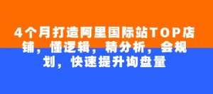 4个月打造阿里国际站TOP店铺,懂逻辑,精分析,会规划,快速提升询盘量-风淘社