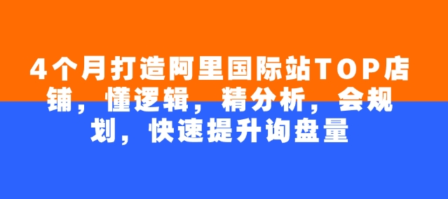 4个月打造阿里国际站TOP店铺,懂逻辑,精分析,会规划,快速提升询盘量-风淘社