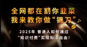 知识付费如何做到月入过W+,2025我来教你做“镰刀”【揭秘】-风淘社