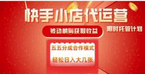 快手小店代运营,被动躺Z收益,收益五五分,单日稳定变现五张【揭秘】-风淘社