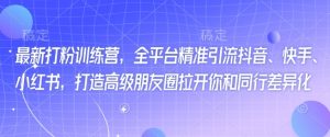 最新打粉训练营,全平台精准引流抖音、快手、小红书,打造高级朋友圈拉开你和同行差异化-风淘社