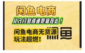 闲鱼电商实战课,从入门到精通秘籍在此,闲鱼电商无货源玩法超燃!-风淘社