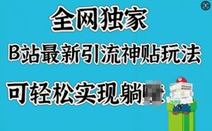 全网独家,B站最新引流神贴玩法,可轻松实现躺Z-风淘社